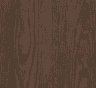 vcf2026-campfire